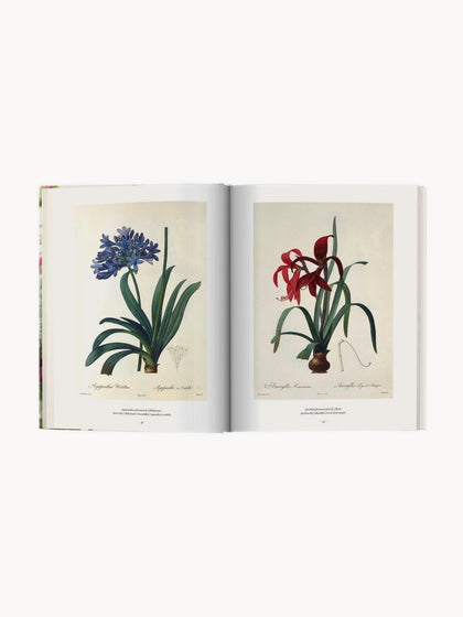 Westwing Libro Ilustrado Book Of Flowers