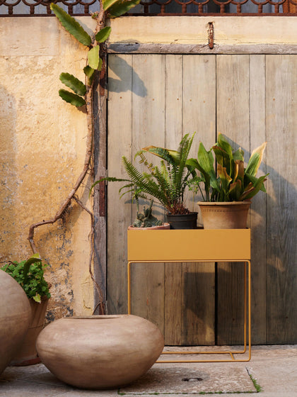 Westwing Macetero Plant Box
