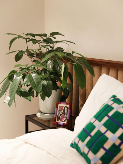 Westwing Marco Pequeño Rift