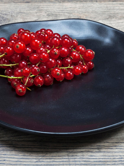 Westwing Platos Postre Organic 4 uds