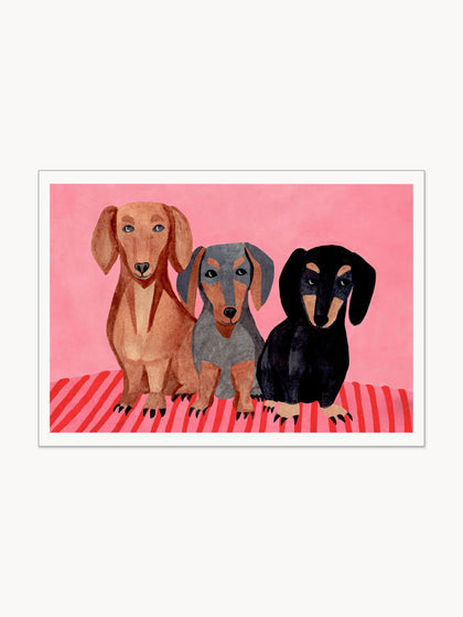 Westwing Póster Dachshunds