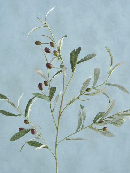 Westwing Rama Decorativa Artesanal Olive Garden