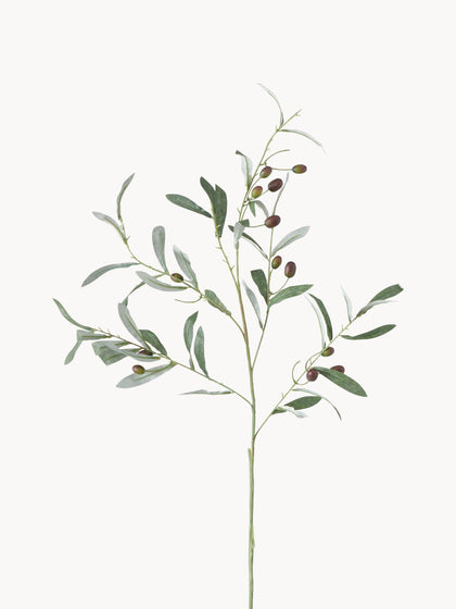 Westwing Rama decorativa artesanal Olive Garden