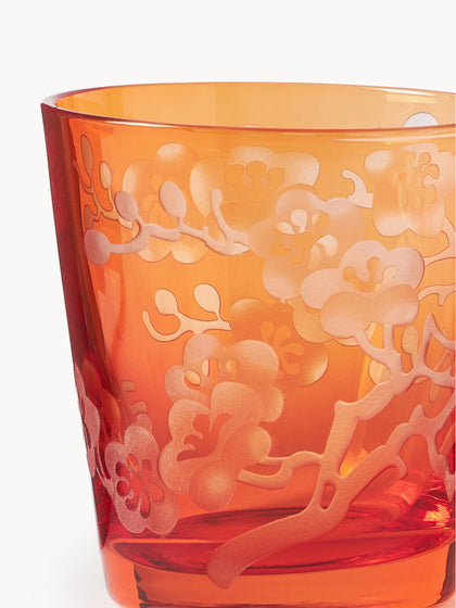 Westwing Vasos Bloom 6 uds