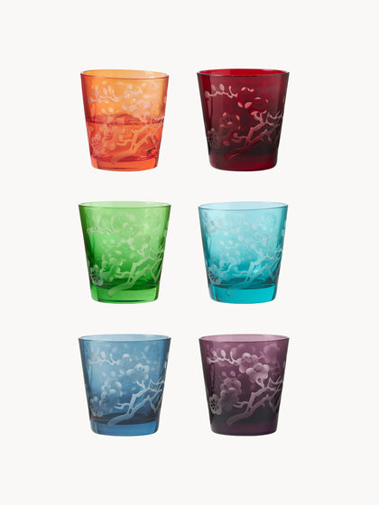 Westwing Vasos Bloom 6 uds