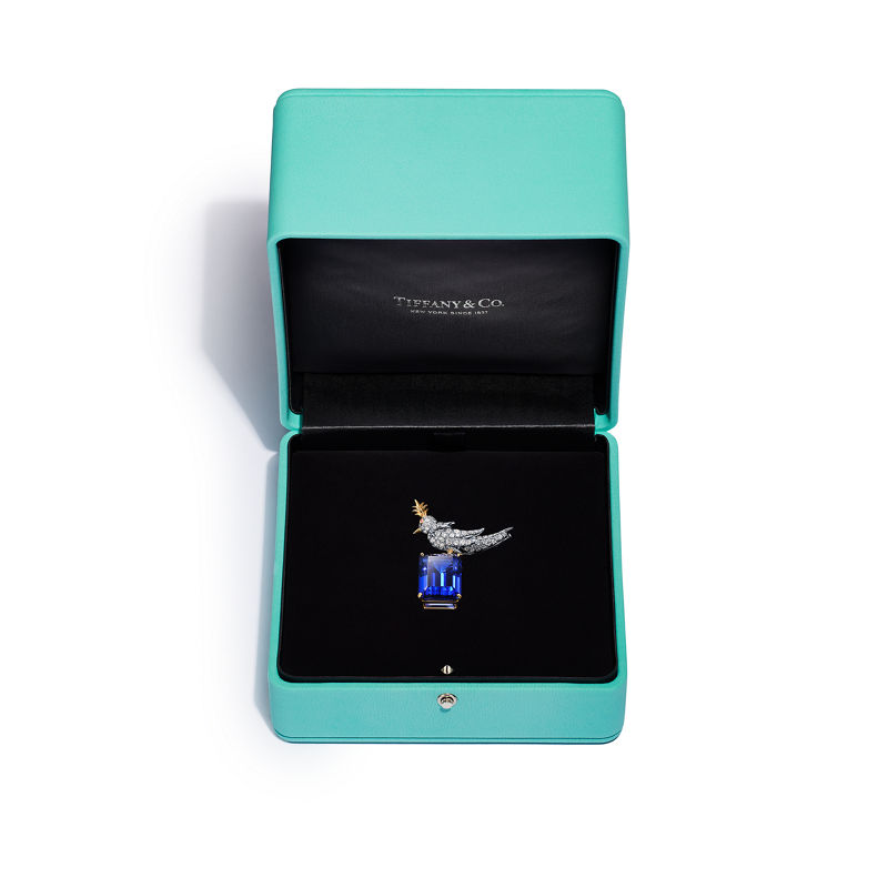 Tiffany & Co. Schlumberger By Tiffany & Co.™ Broche Bird On A Rock En Oro Amarillo Y Platino