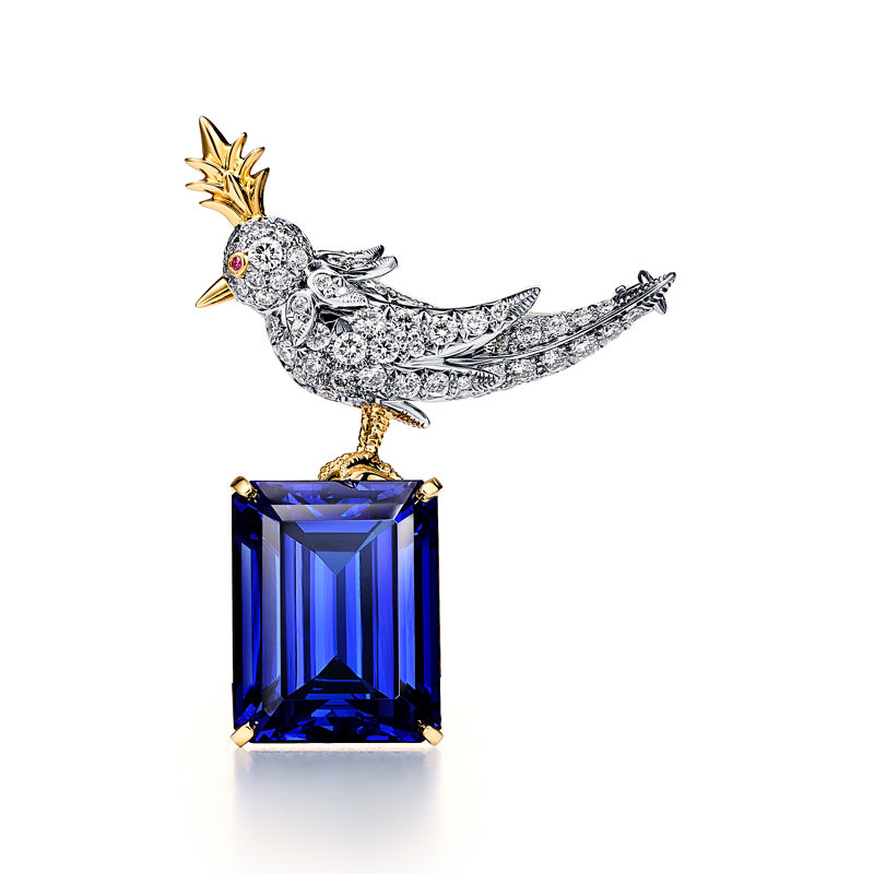 Tiffany & Co. Schlumberger by Tiffany & Co.™ Broche Bird on a Rock en oro amarillo y platino