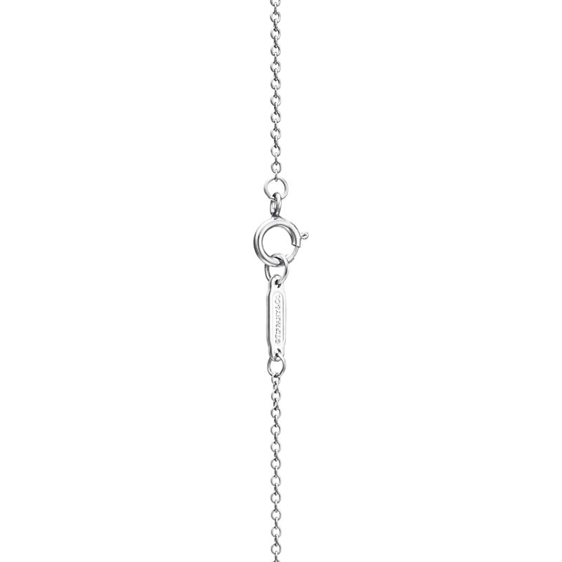 Tiffany & Co. Tiffany Victoria® Colgante