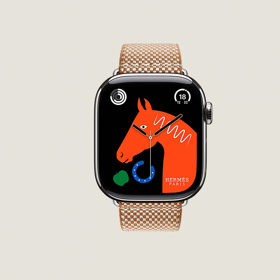 Hermès Caja Series 10 & Correa Apple Watch Hermès Single Tour 42 Mm Toile H