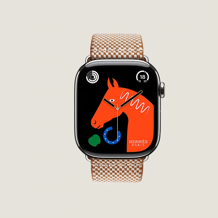 Hermès Caja Series 10 & Correa Apple Watch Hermès Single Tour 46 Mm Toile H