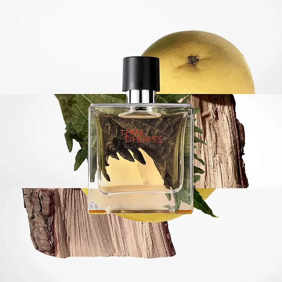 Hermès Terre D'Hermès Eau De Toilette - 30 Ml