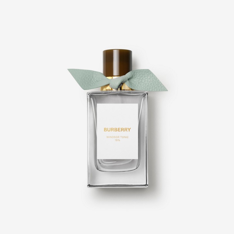 Burberry Burberry Signatures Eau de Parfum de 100 ml - Windsor TonicPrecio 276 00 €