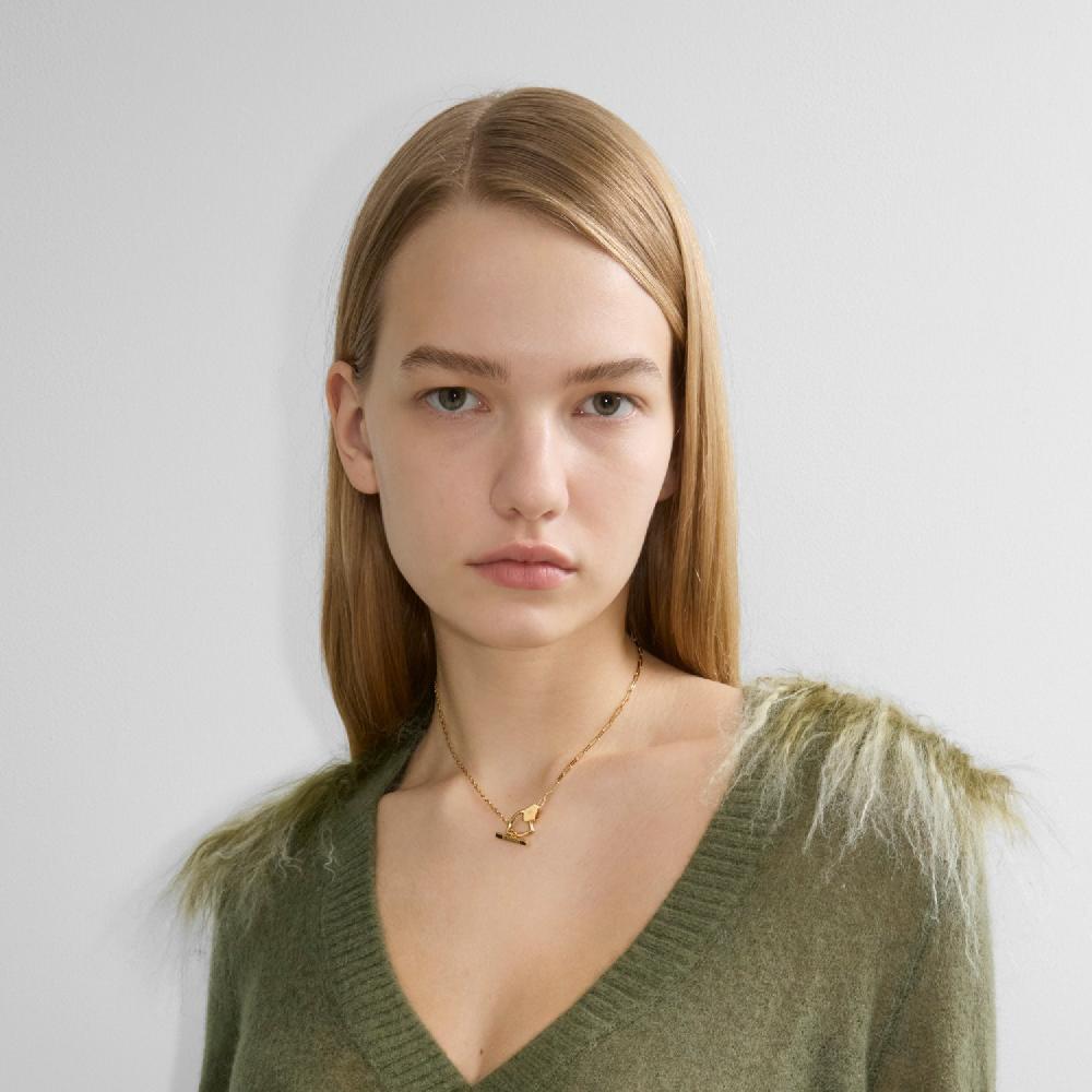 Burberry Collar ShieldPrecio 270 00 € Costume Jewellery