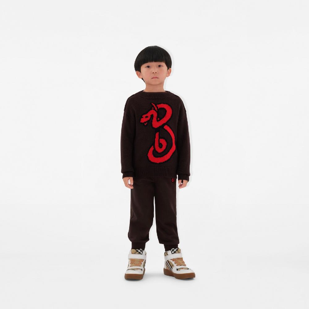 Burberry Jersey En Lana Con Motivo B SnakePrecio 450 00 € Año Nuevo Lunar