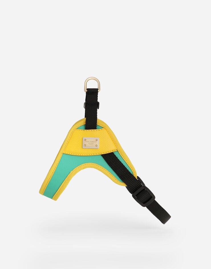 Dolce & Gabbana Arnés Para Perros