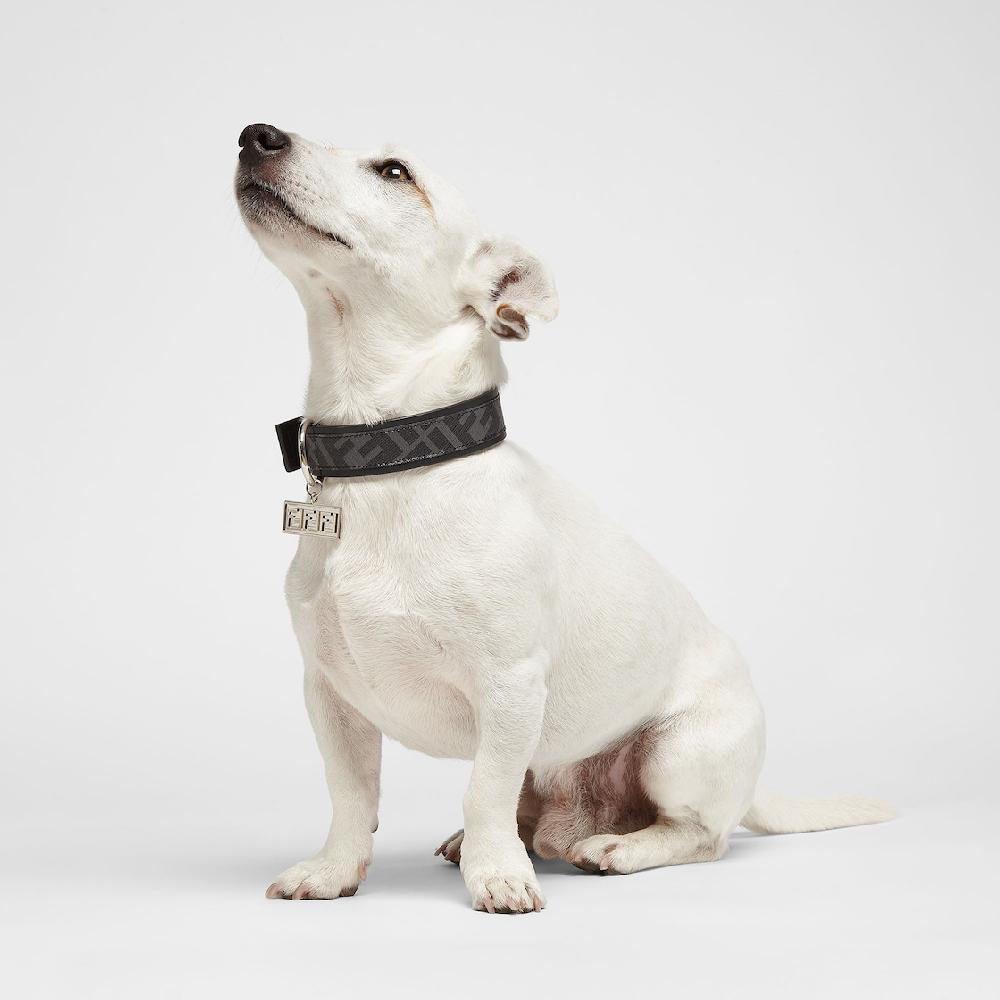 Fendi Collar Para Perro