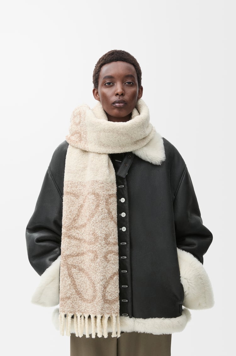 Loewe Anagram Scarf In Alpaca And Wool 5 Colours