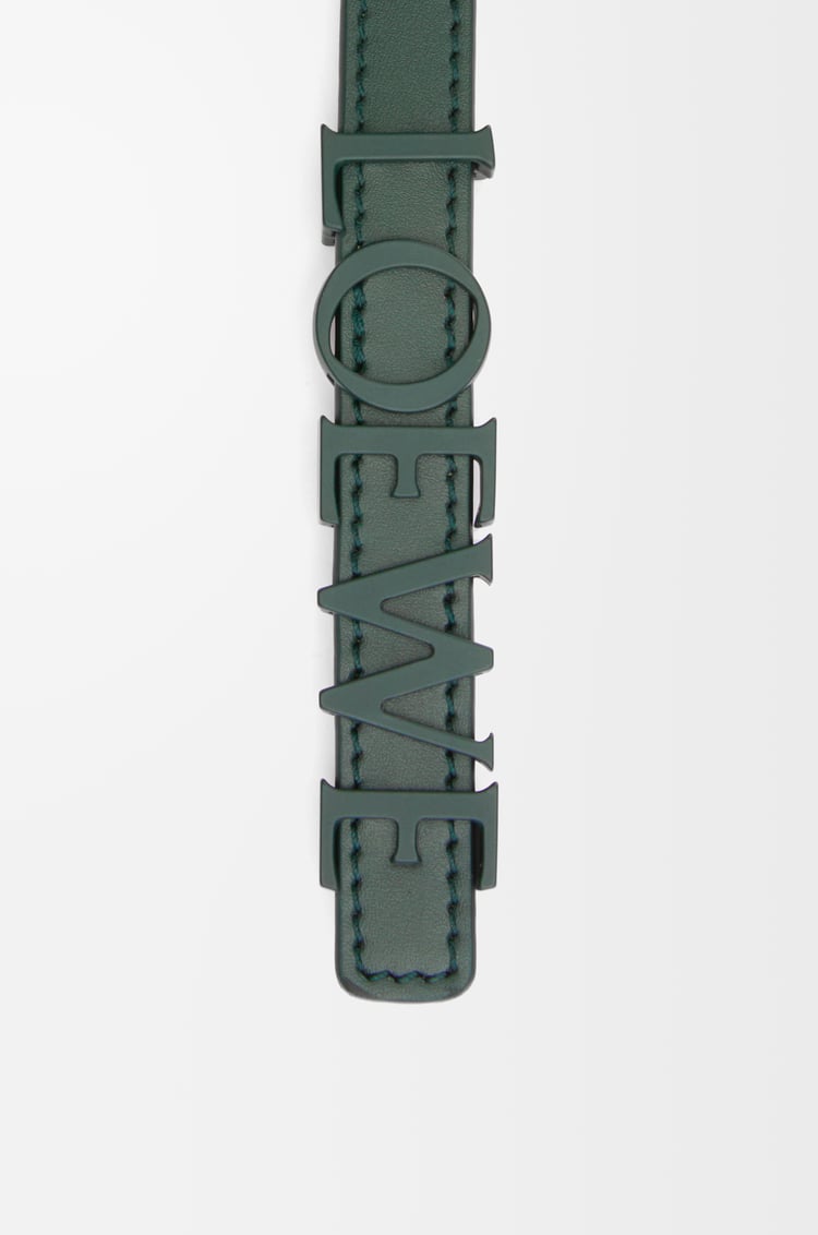 Loewe LOEWE Belt In Smooth Calfskin 2 Colours