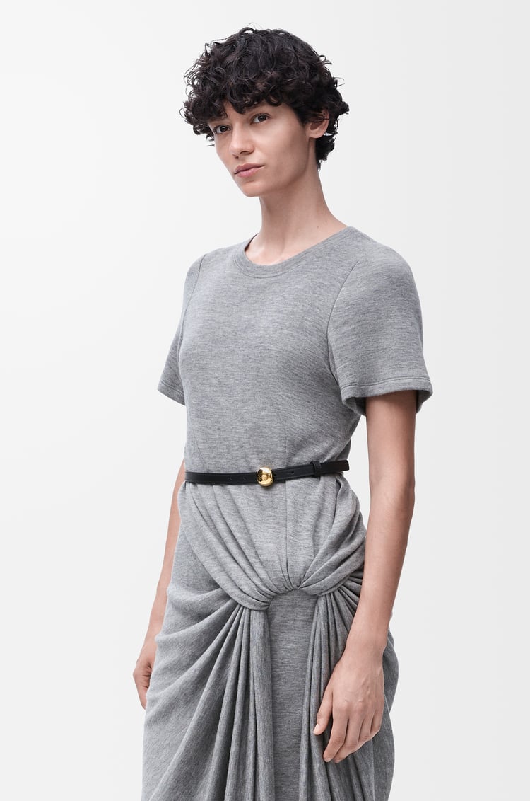 Loewe Pebble Belt In Smooth Calfskin 3 Colours