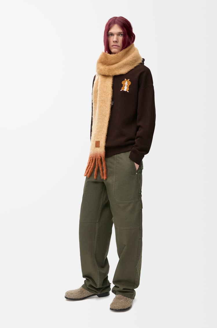Loewe Relaxed Fit Hoodie In Cotton 1 Colours