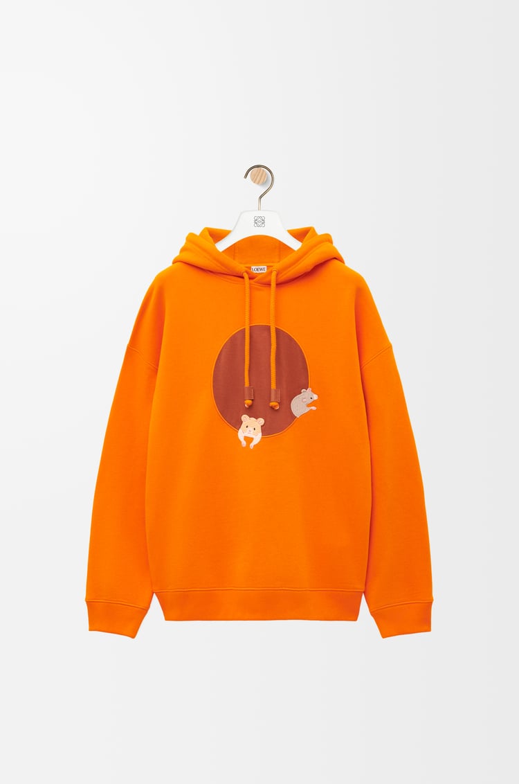 Loewe Relaxed fit hoodie in cotton 1 Colours