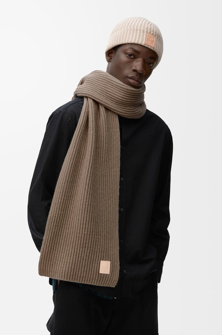 Loewe Scarf In Cashmere 3 Colours