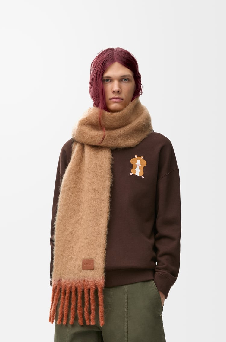 Loewe Scarf In Mohair And Wool Blend 2 Colours