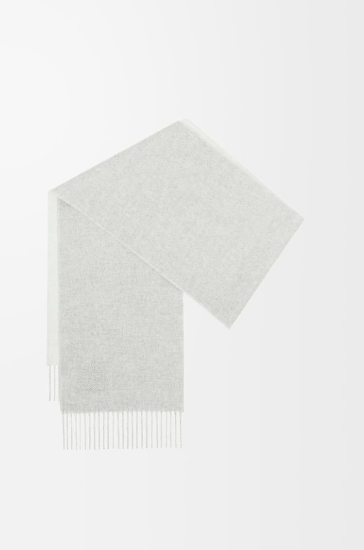 Loewe Scarf In Wool And Cashmere 3 Colours