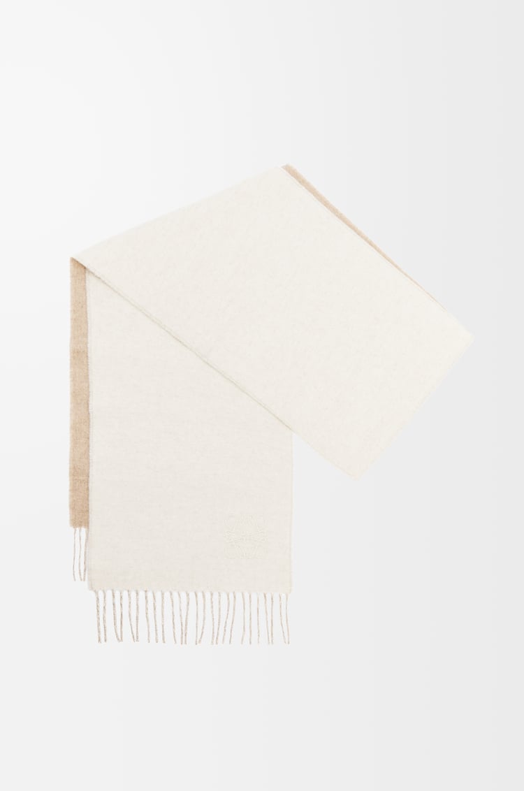 Loewe Scarf In Wool And Cashmere 3 Colours
