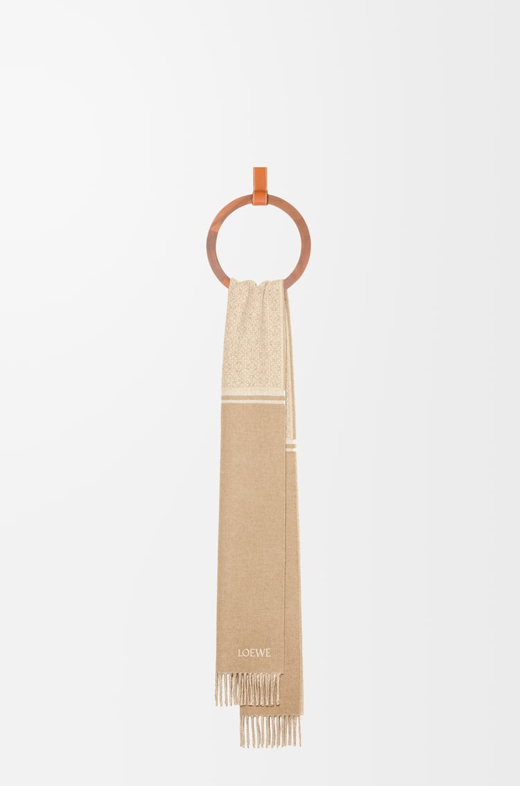 Loewe Scarf In Wool And Cashmere 4 Colours