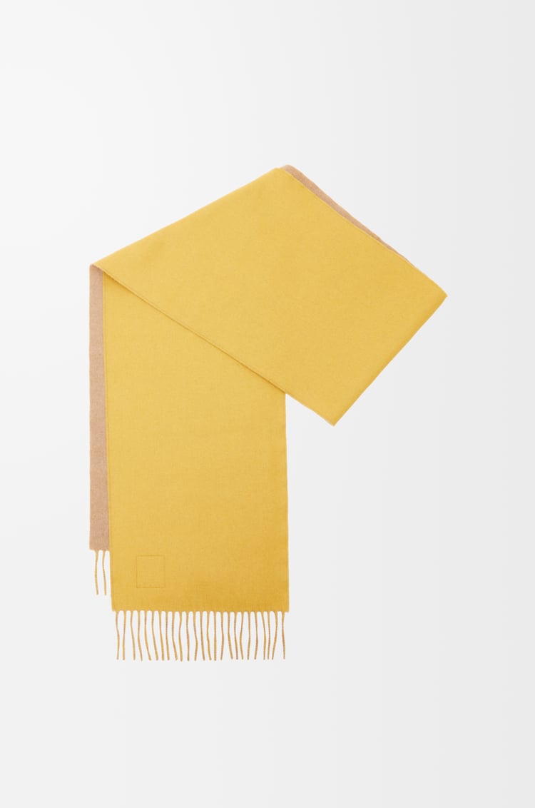 Loewe Scarf In Wool And Cashmere 7 Colours