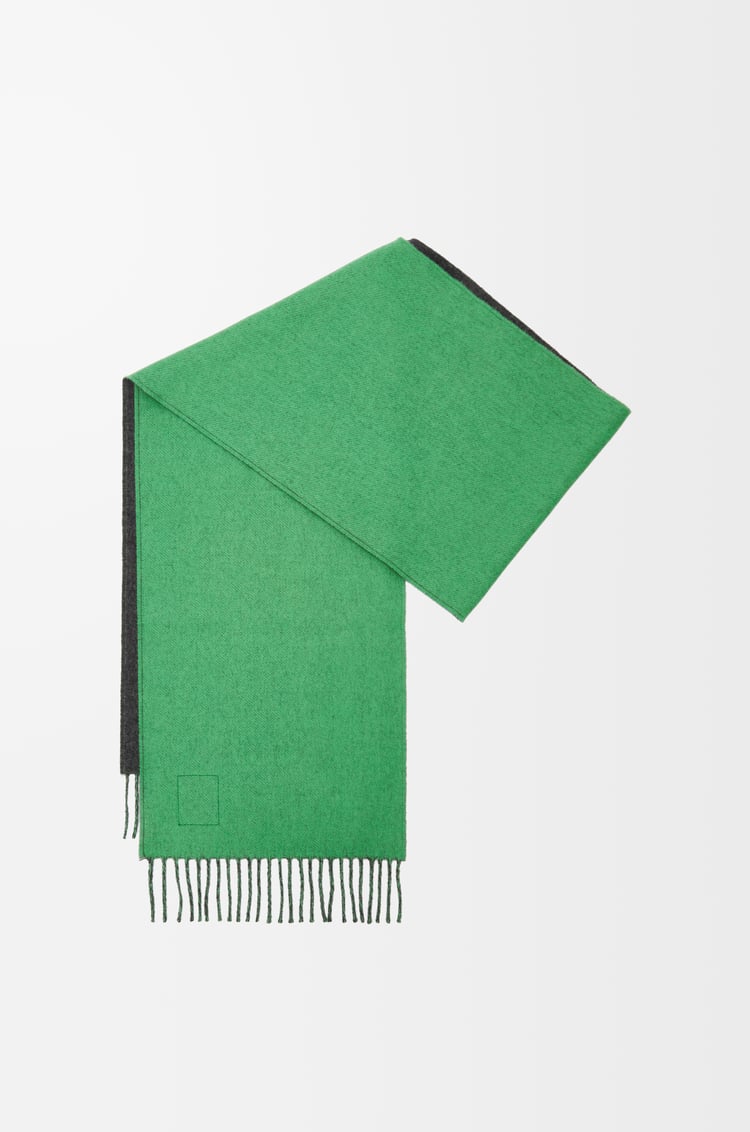 Loewe Scarf In Wool And Cashmere 7 Colours