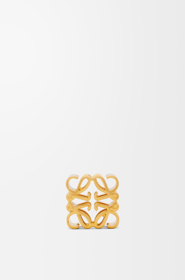 Loewe Small Anagram dice 1 Colours