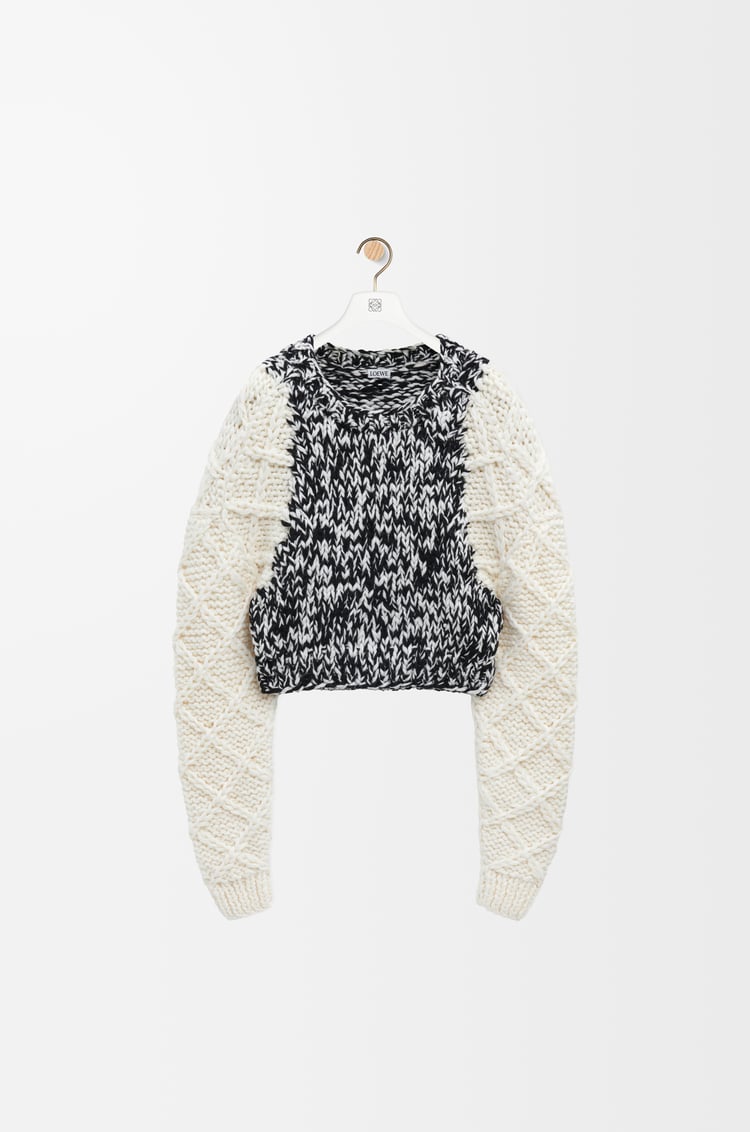 Loewe Sweater in wool blend 1 Colours