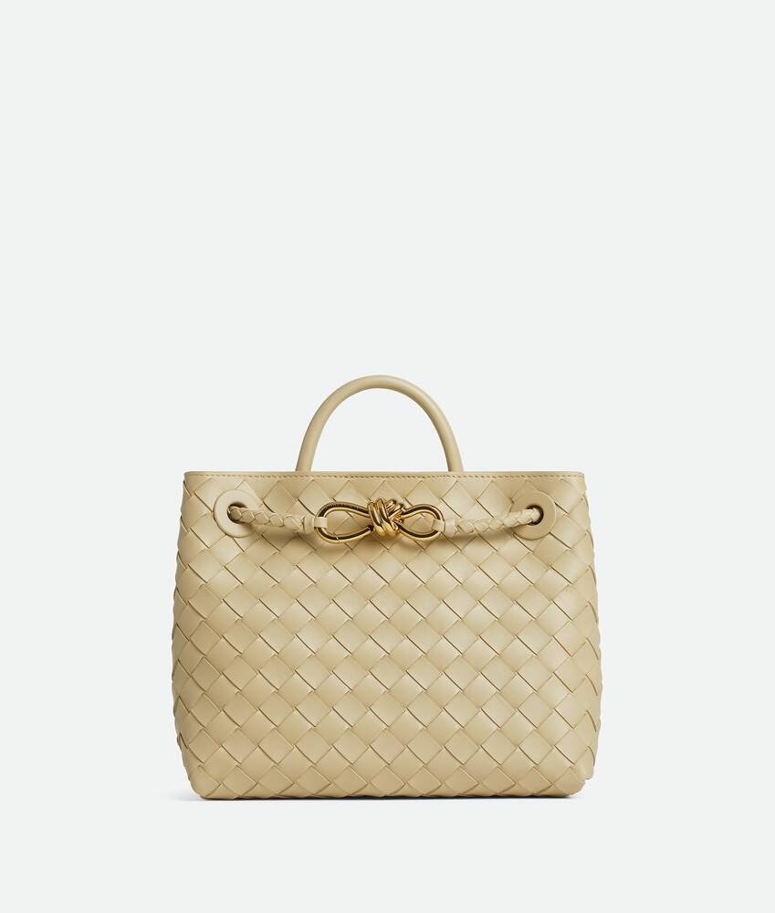 Bottega Veneta Andiamo pequeño