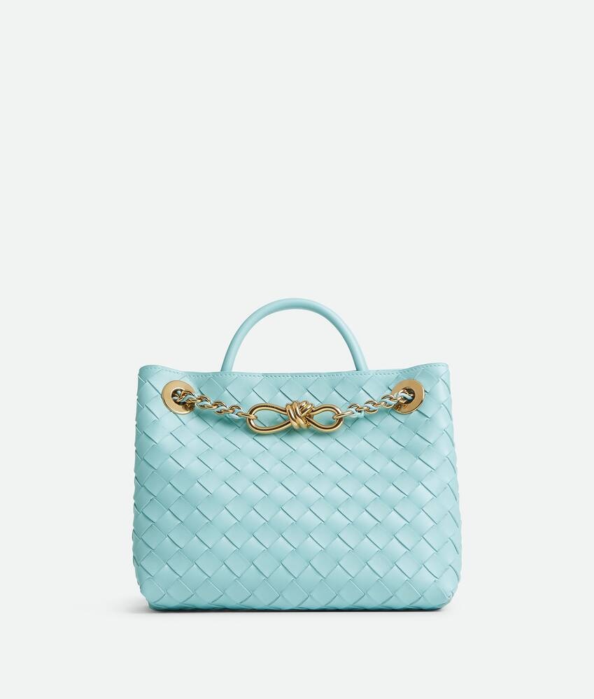 Bottega Veneta Bolso Andiamo Chain pequeño