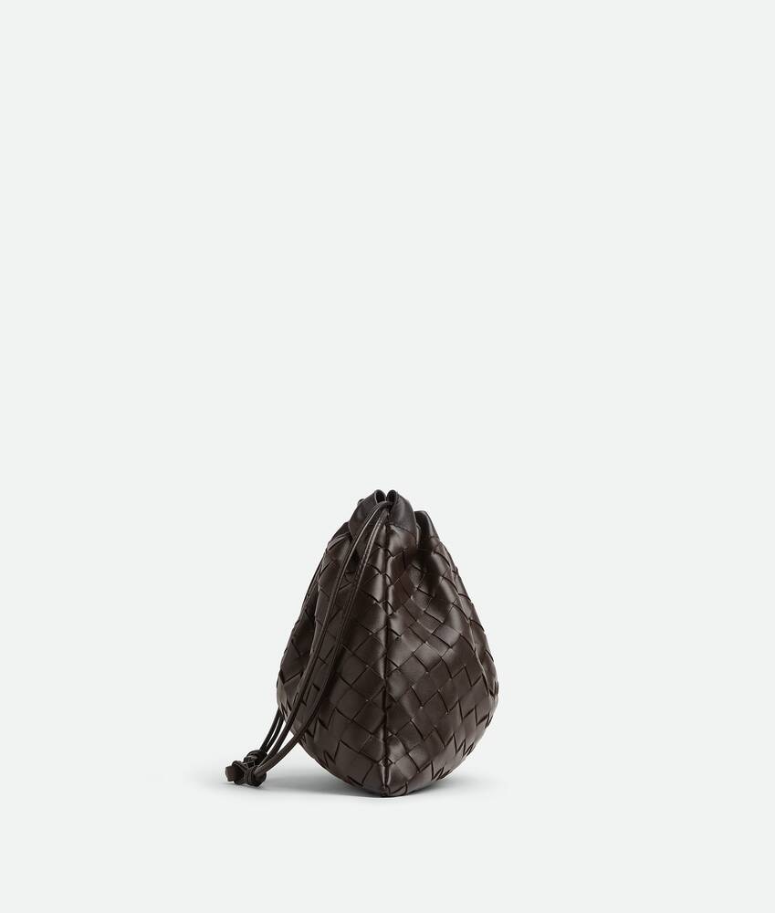 Bottega Veneta Dustbag