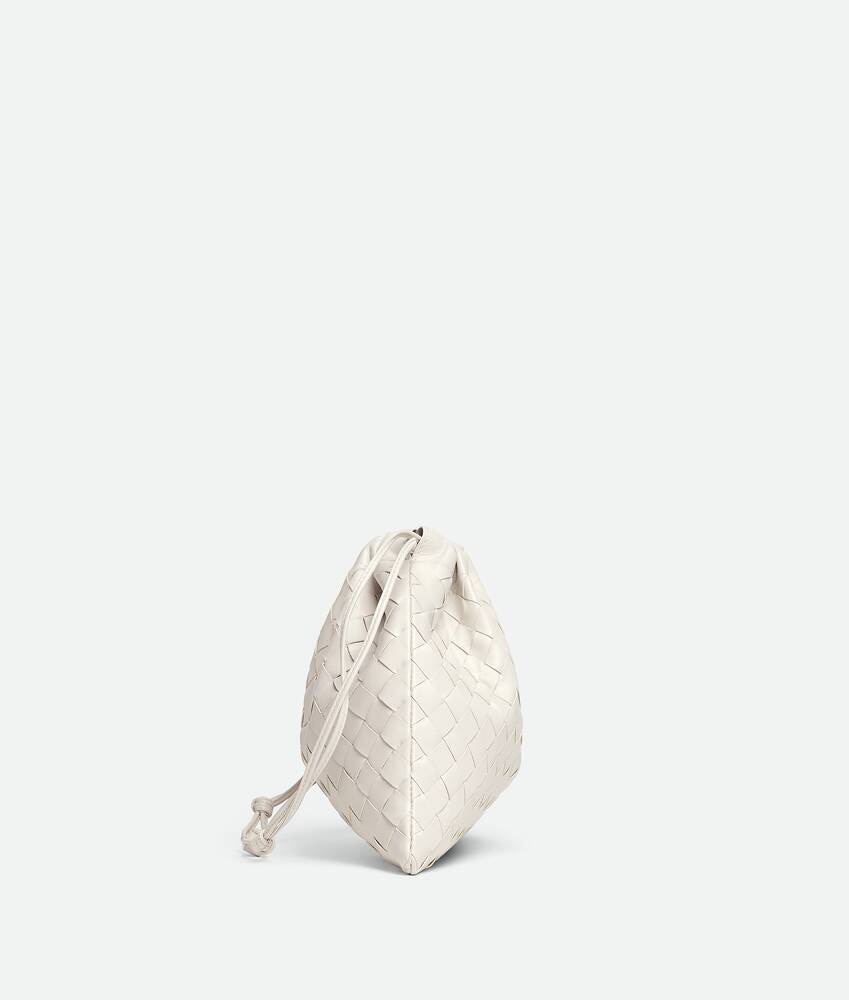 Bottega Veneta Dustbag