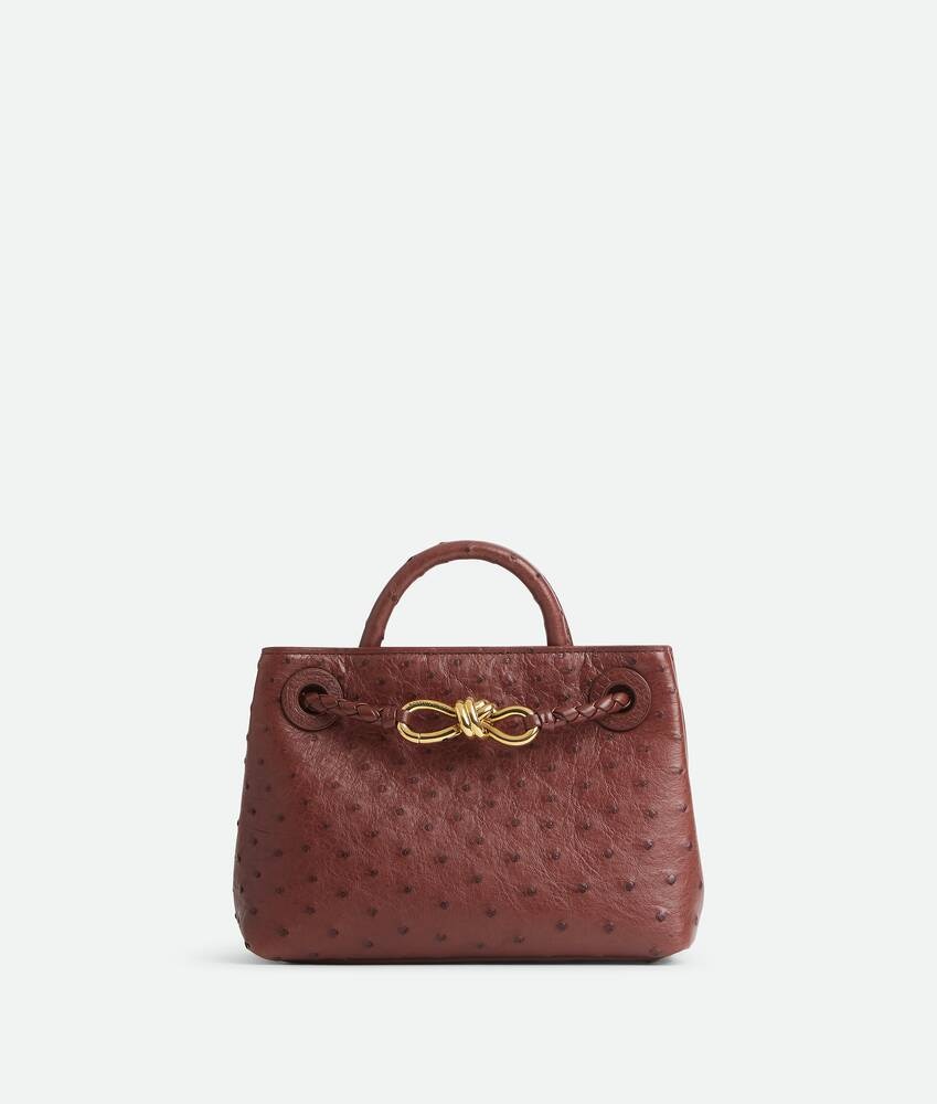 Bottega Veneta Minibolso Andiamo
