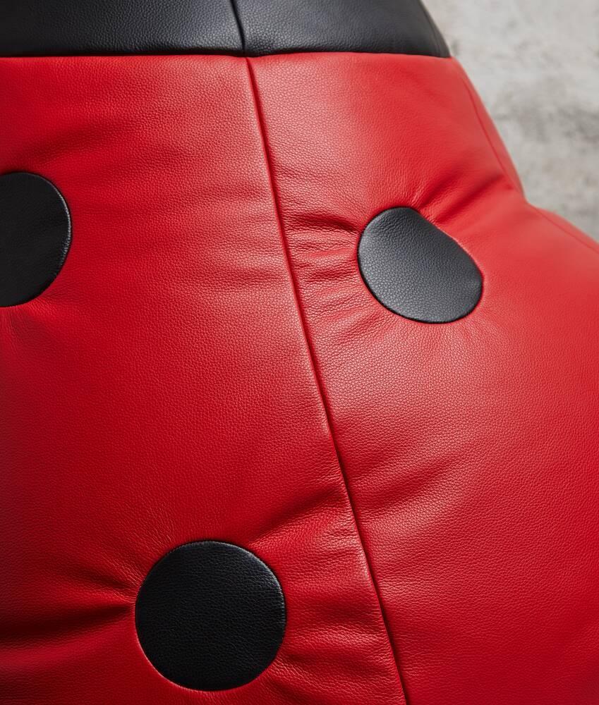 Bottega Veneta Puf Pequeño Con Diseño De Mariquita