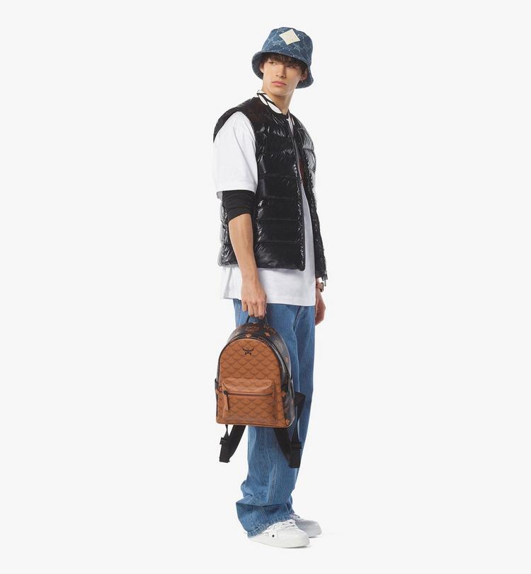 MCM Stark Backpack In Monogram Mix