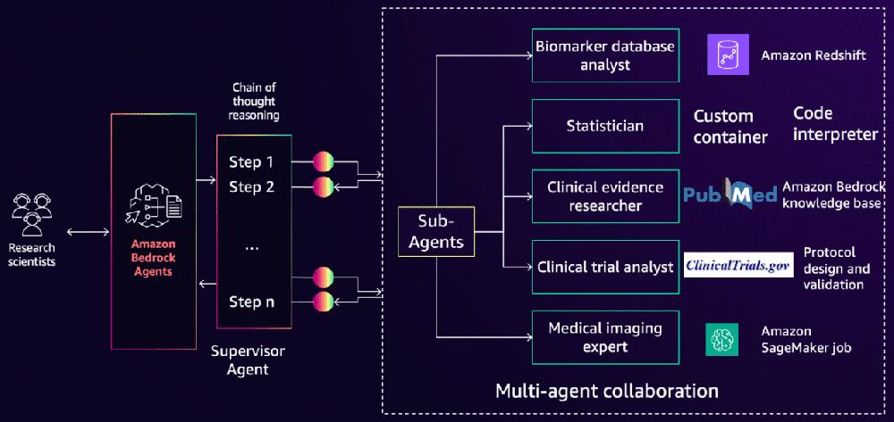 Mimub Aceleración del Análisis y Descubrimiento de Biomarcadores de Cáncer con Agentes de Amazon Bedrock