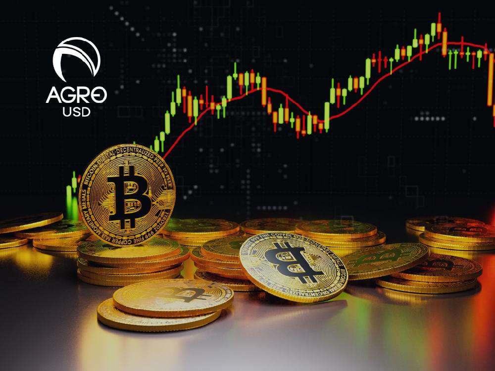 Mimub AgroUSD: Impulsando la Revolución Financiera Global a Través de Stablecoins