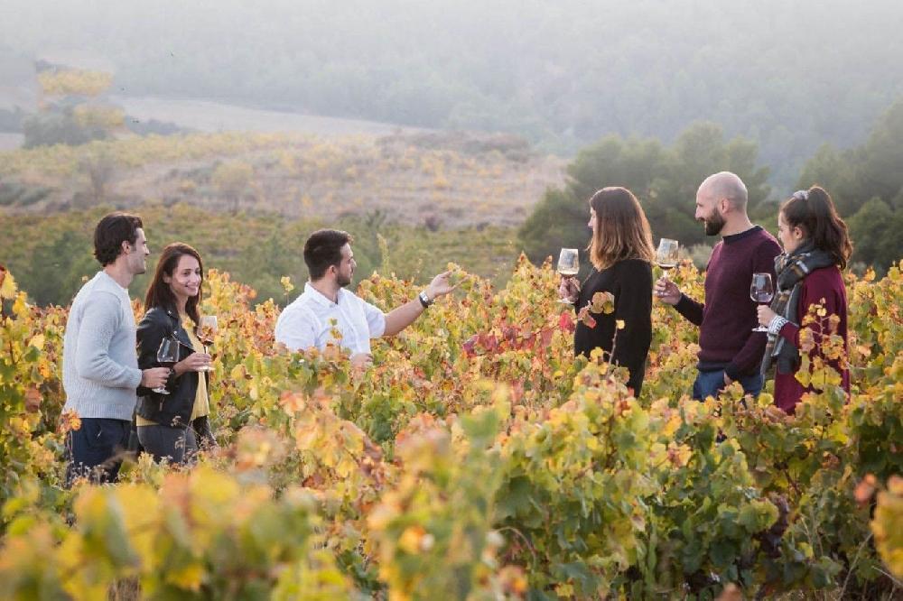Mimub Bodegas Obergo: Frescura y Elegancia en los Vinos Blancos del Somontano