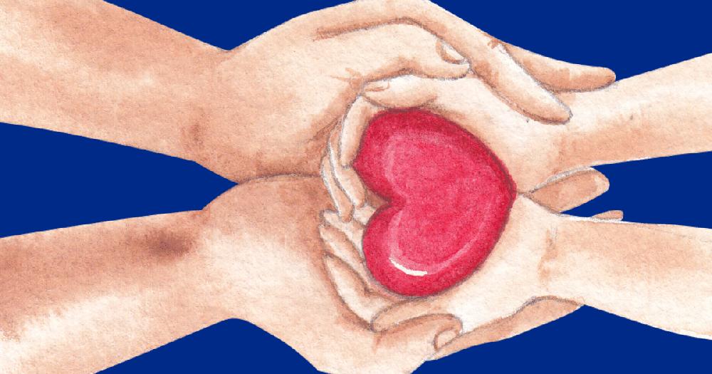 Mimub Esta Navidad Regala Seguridad a Tu Familia con un Seguro de Vida