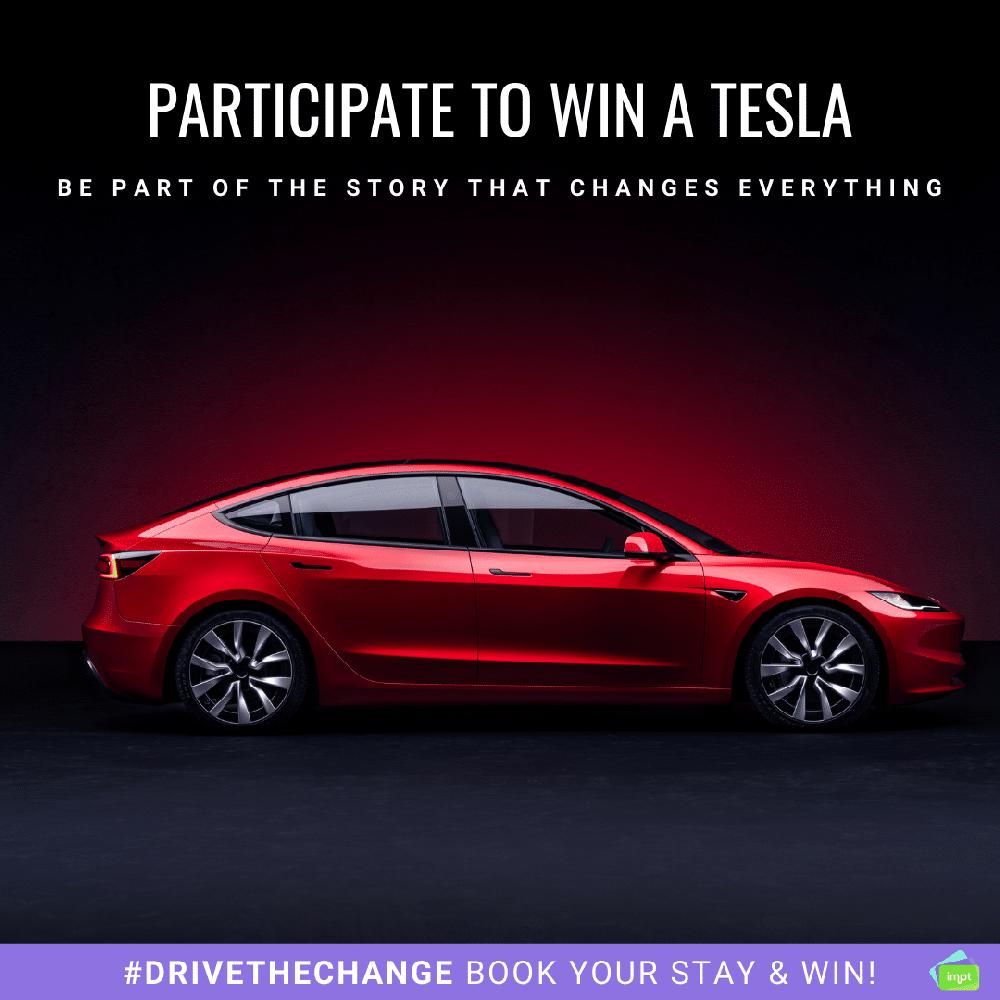 Mimub Gana Un Tesla Reservando Hoteles De Forma Sostenible Con IMPT Travel