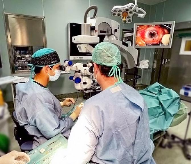 Mimub Glaucoma: La Principal Causa De Ceguera Irreversible En El Mundo