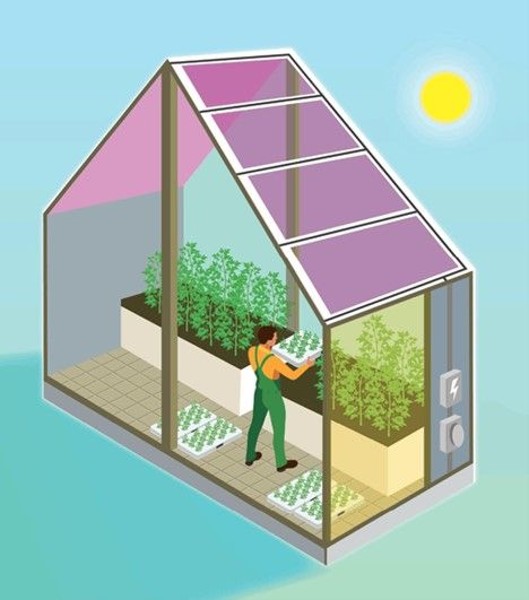 Mimub Invernaderos Solares Autónomos: La Innovación de Green Rain Solar Inc