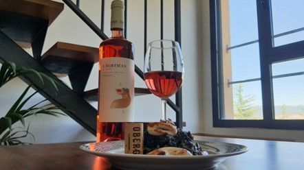 Mimub La Influencia del Clima y el Suelo en la Singularidad de los Vinos de Somontano: Bodegas Obergo