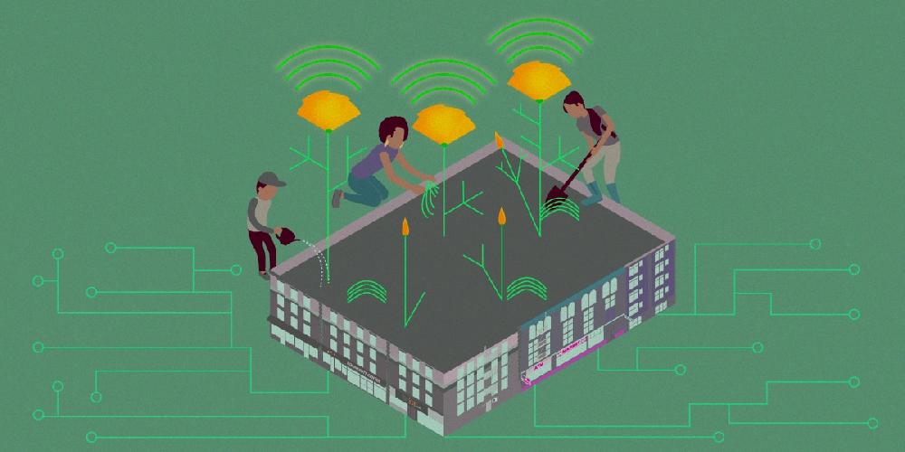 Mimub La Privacidad Valorada en la Compañía: Fundación Frontera Electrónica